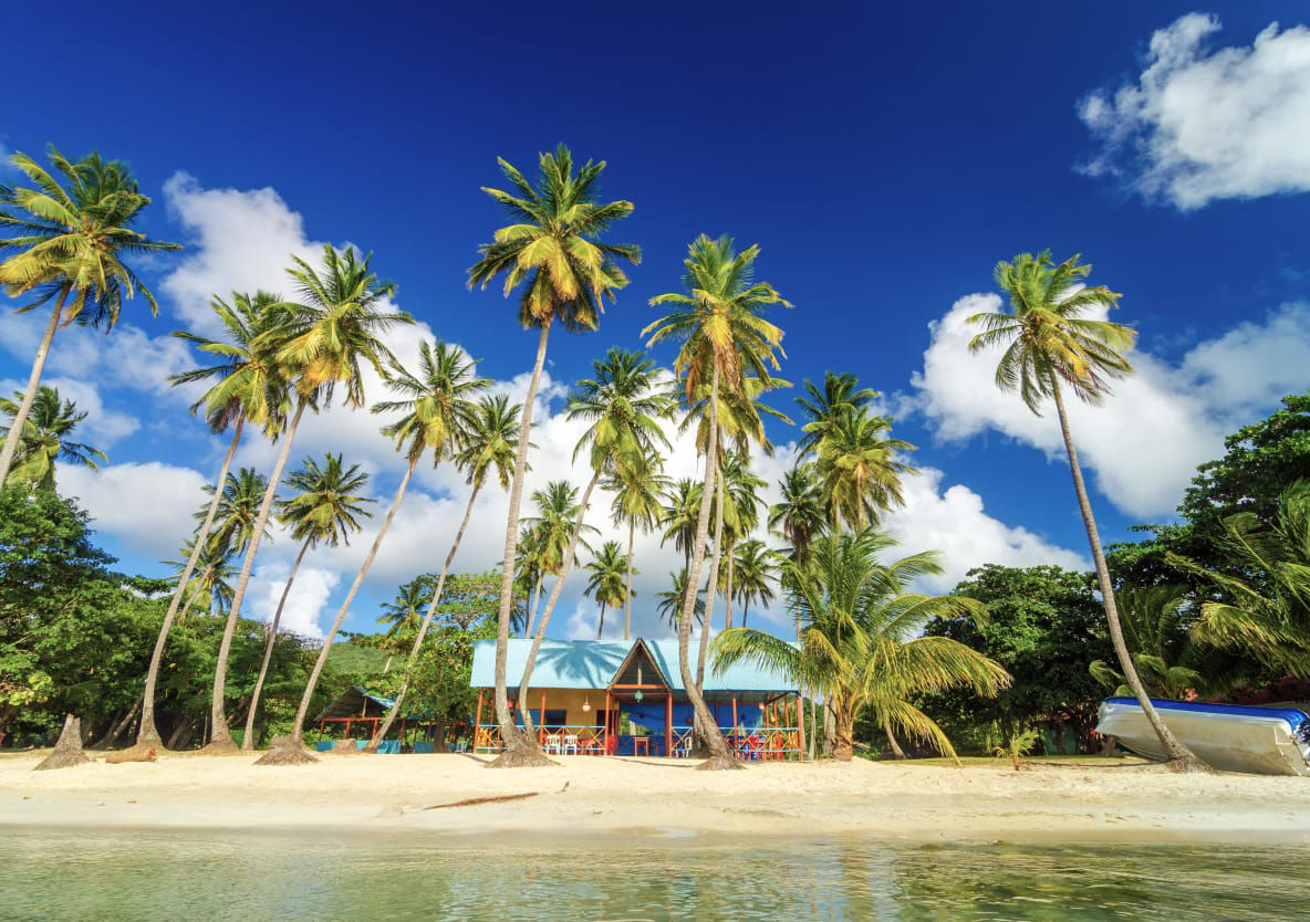 An apartment on the beach surrounded by palm trees