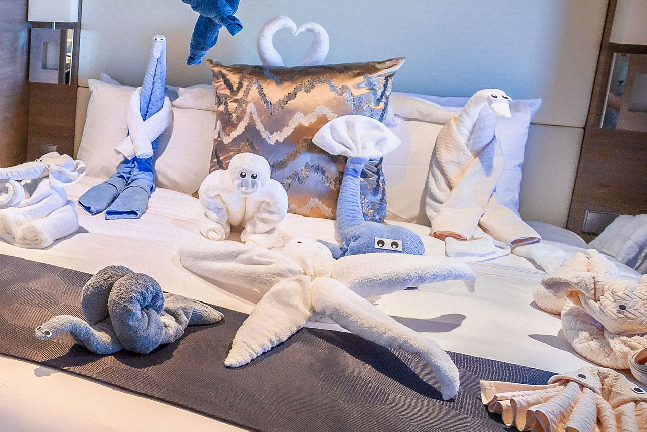 Towel Animal Compass