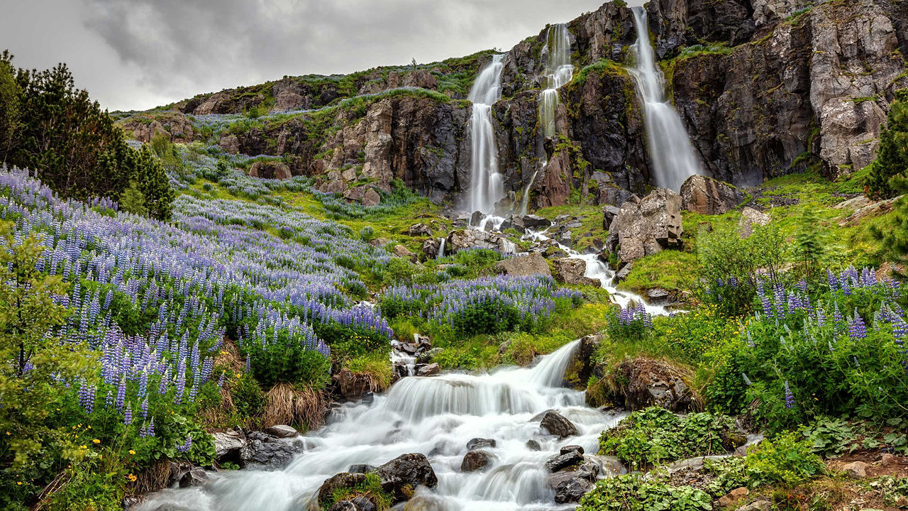 Iceland Intensive - Image 1