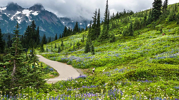 Alaska Experience Cruise - Image 3
