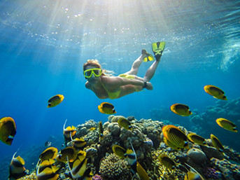 snorkeling in bimini