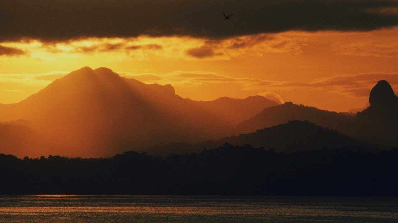 suva fiji