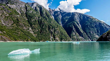 Alaska Inside Passage Cruise - Image 9