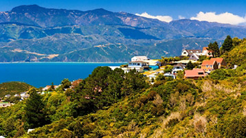 New Zealand Cruise - Image 3