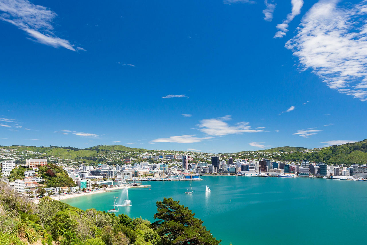 Boats in New Zealand Bay With City