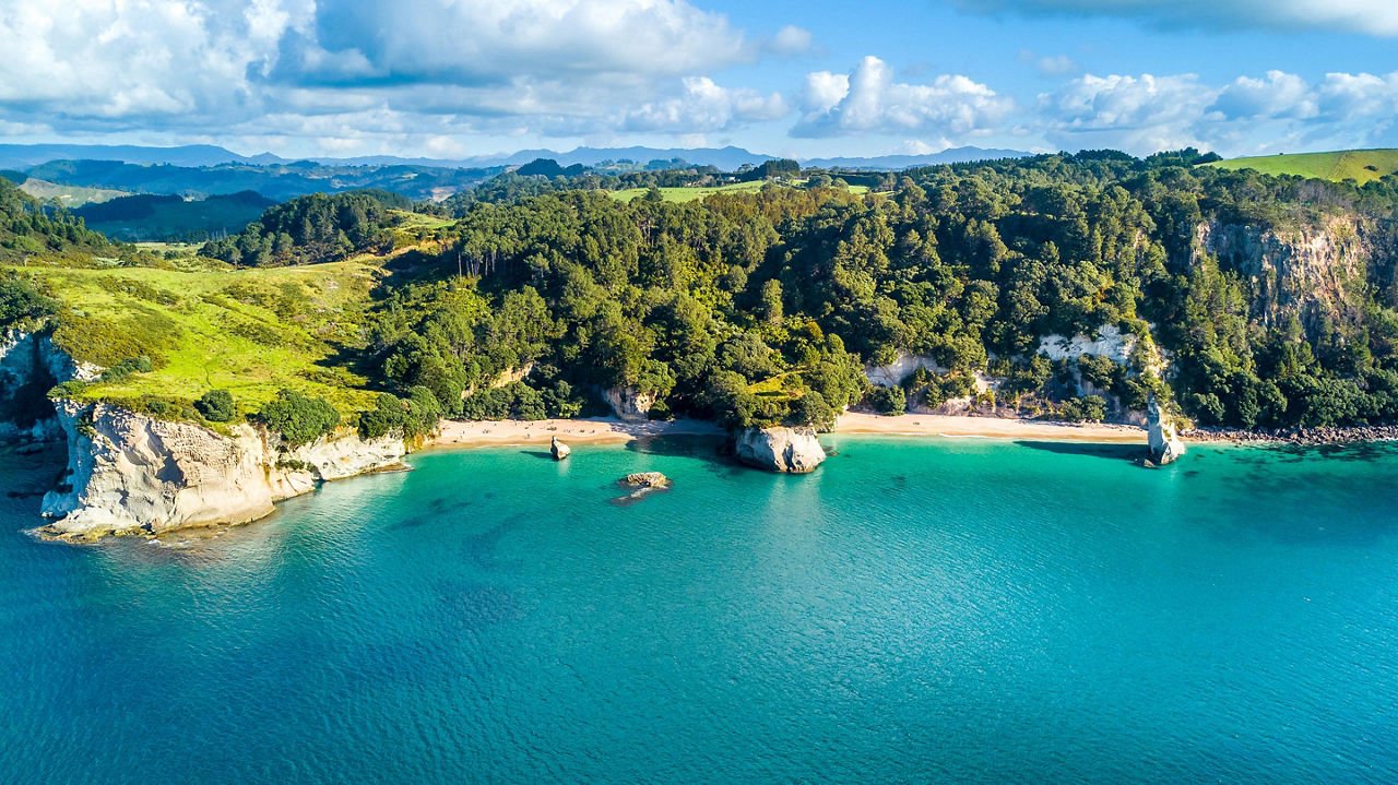 new zealand bay with green rocky cliff