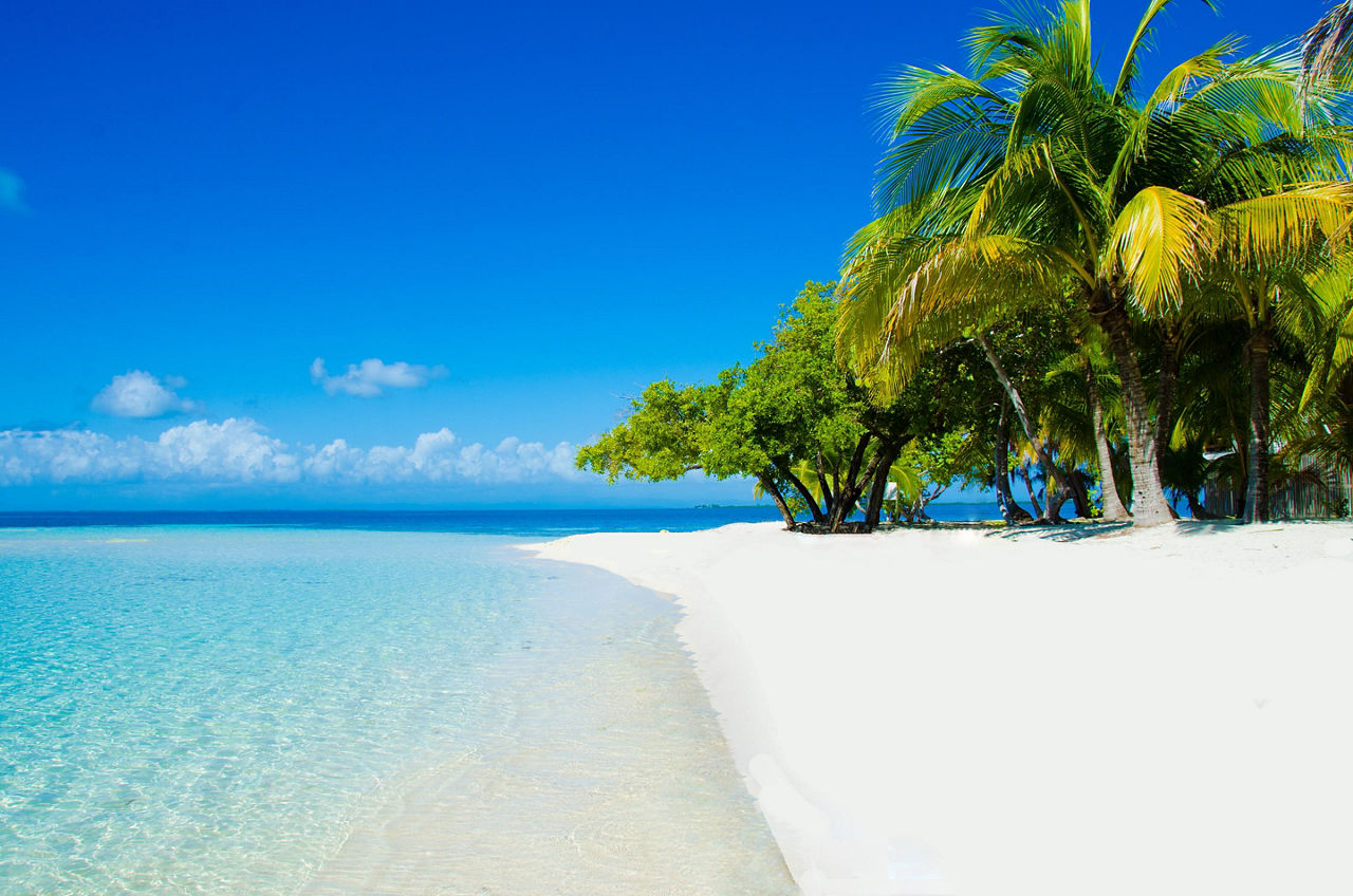 White Sand Beach in Belize