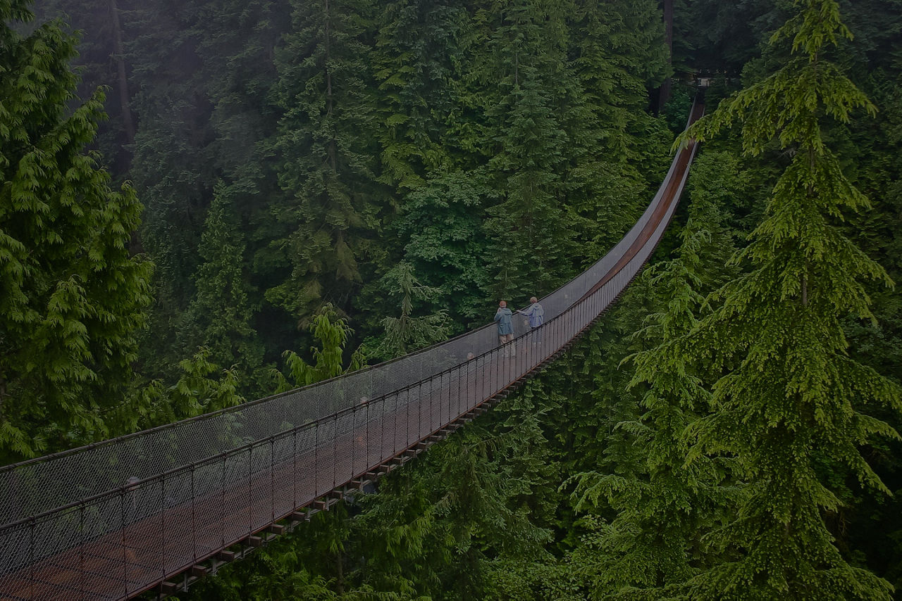 Bridge in Vancouver 