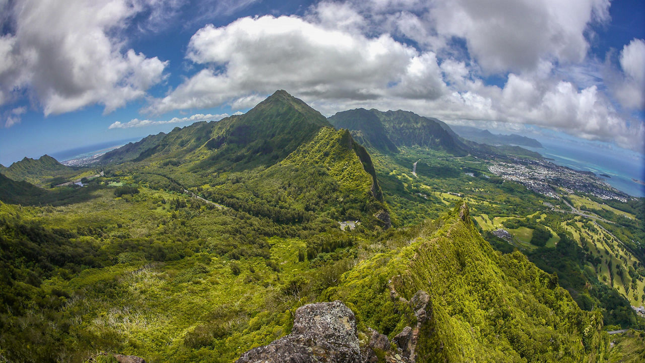 Hawaii Rainforest