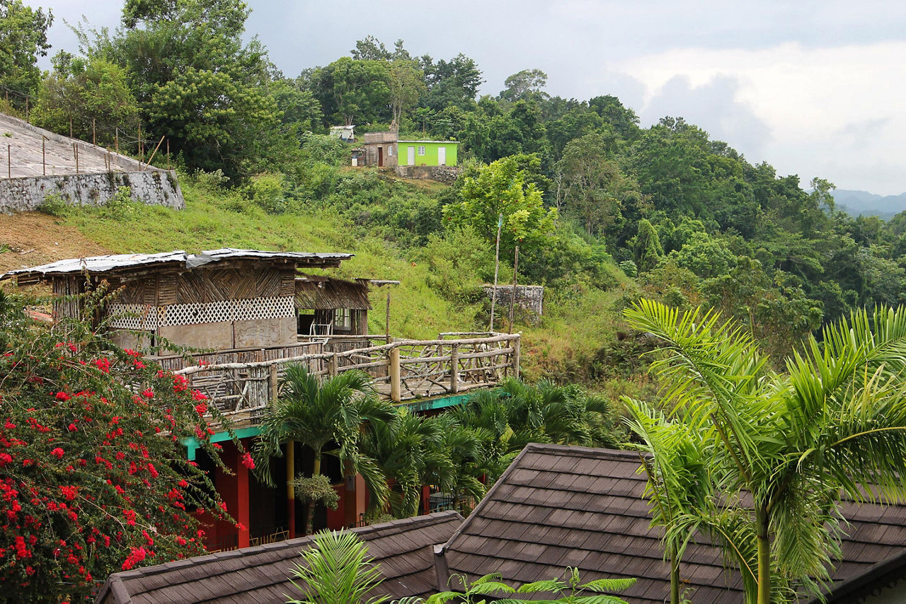 Nile Mile Houses in the Tropical Rainforest 