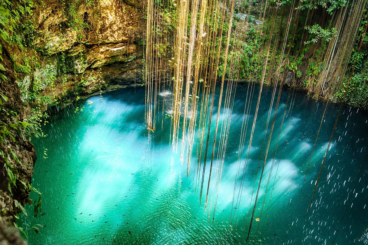 Mexico Cancun Ik Kil Cenote Vines