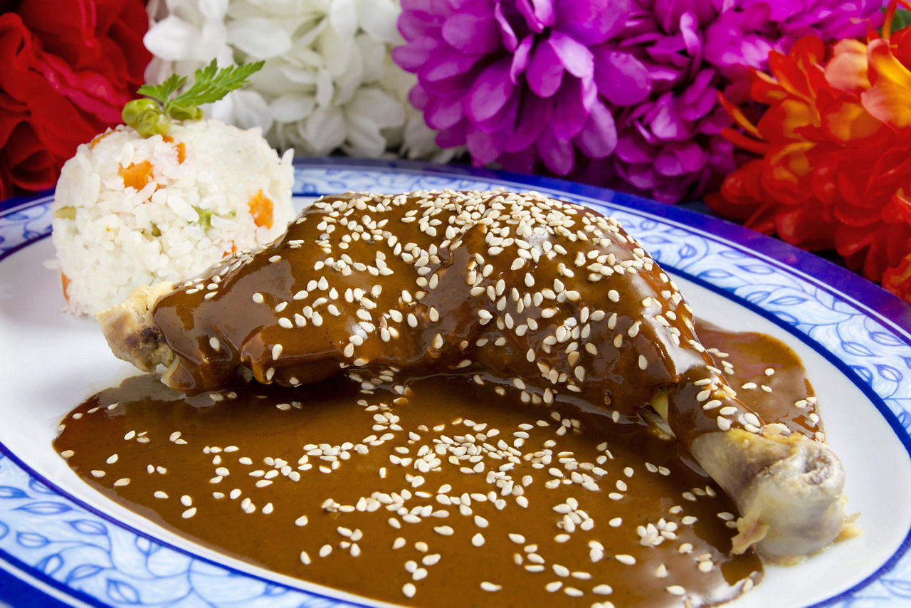 Mexican Authentic Cuisine, Mole Poblano