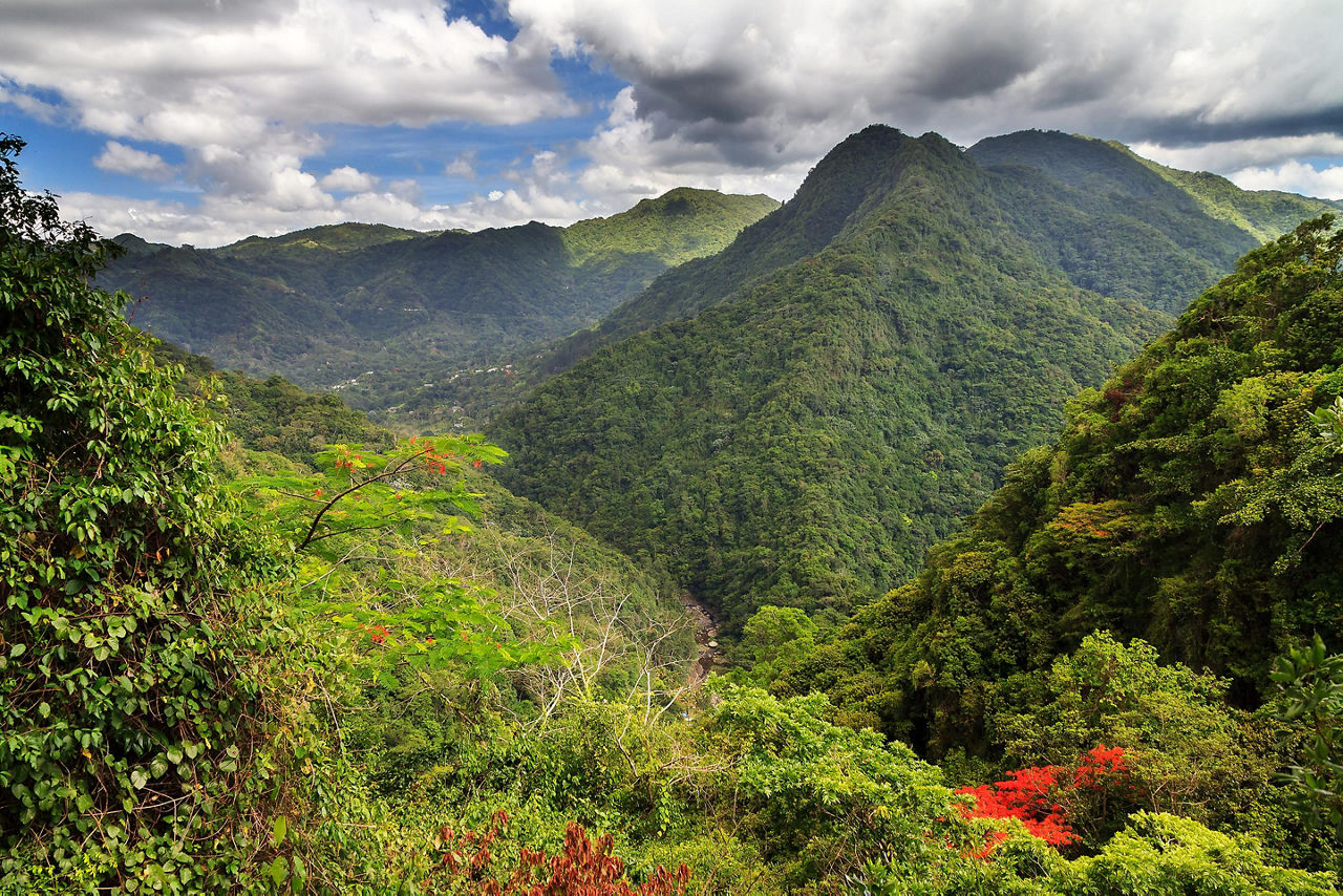 Mountains and Jungles in Puerto Rico