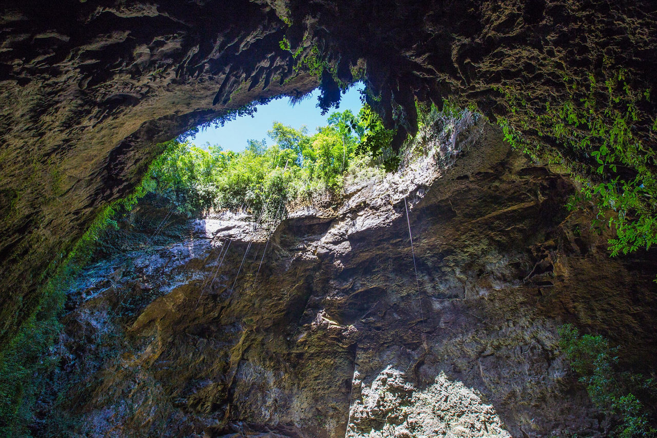 Camuy Cave Park, Puerto Rico