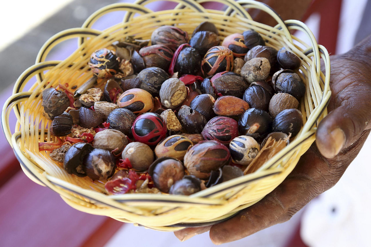 Nutmeg Plantation in Grenada