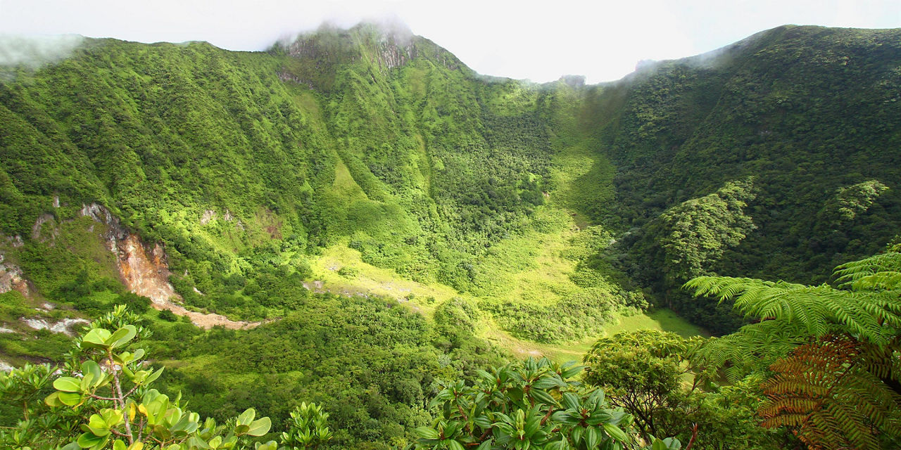 Southern Caribbean Tropical Rainforest