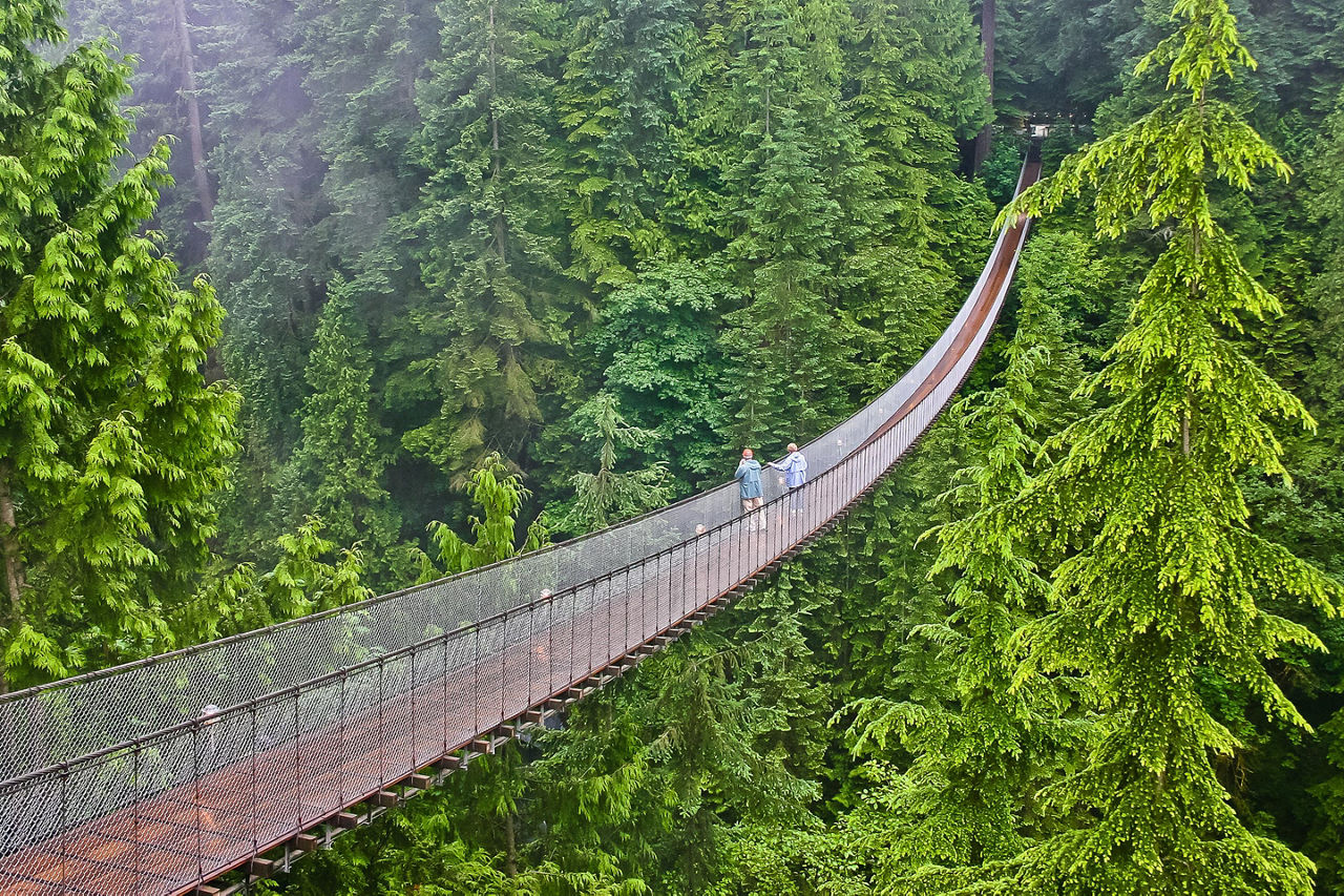 Vancouver Skywalk Suspension Bridge