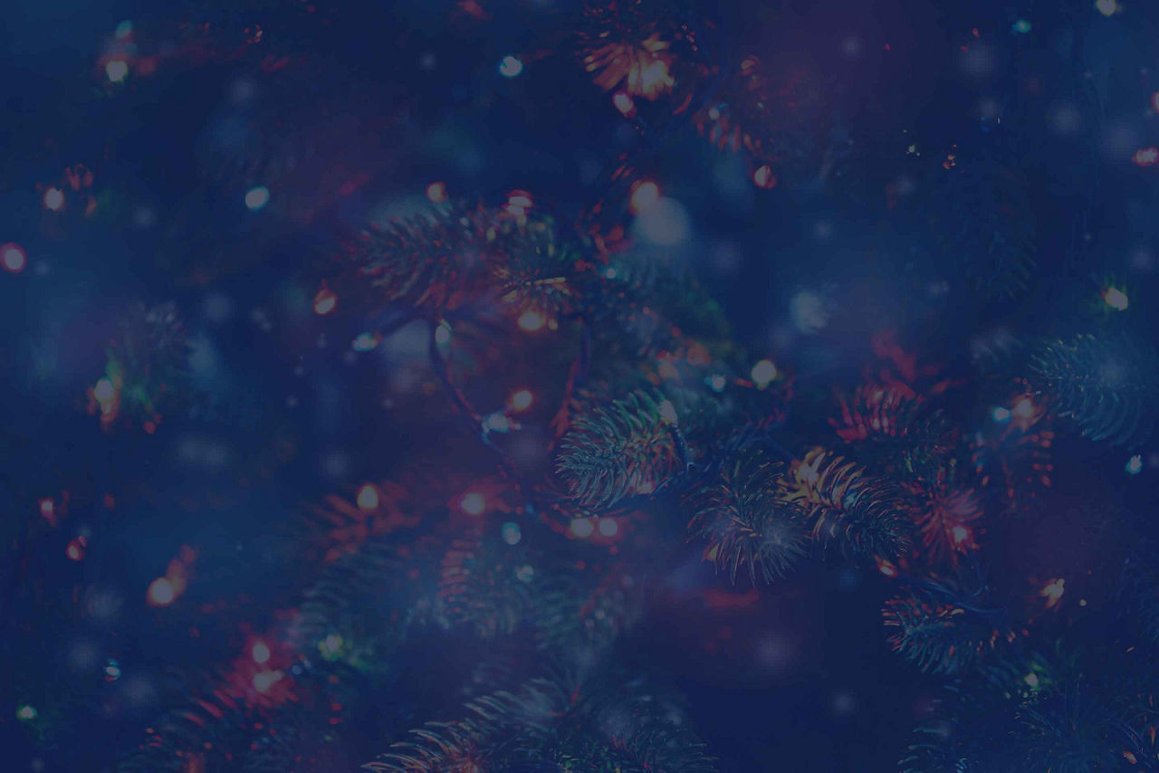 View of Christmas Lights