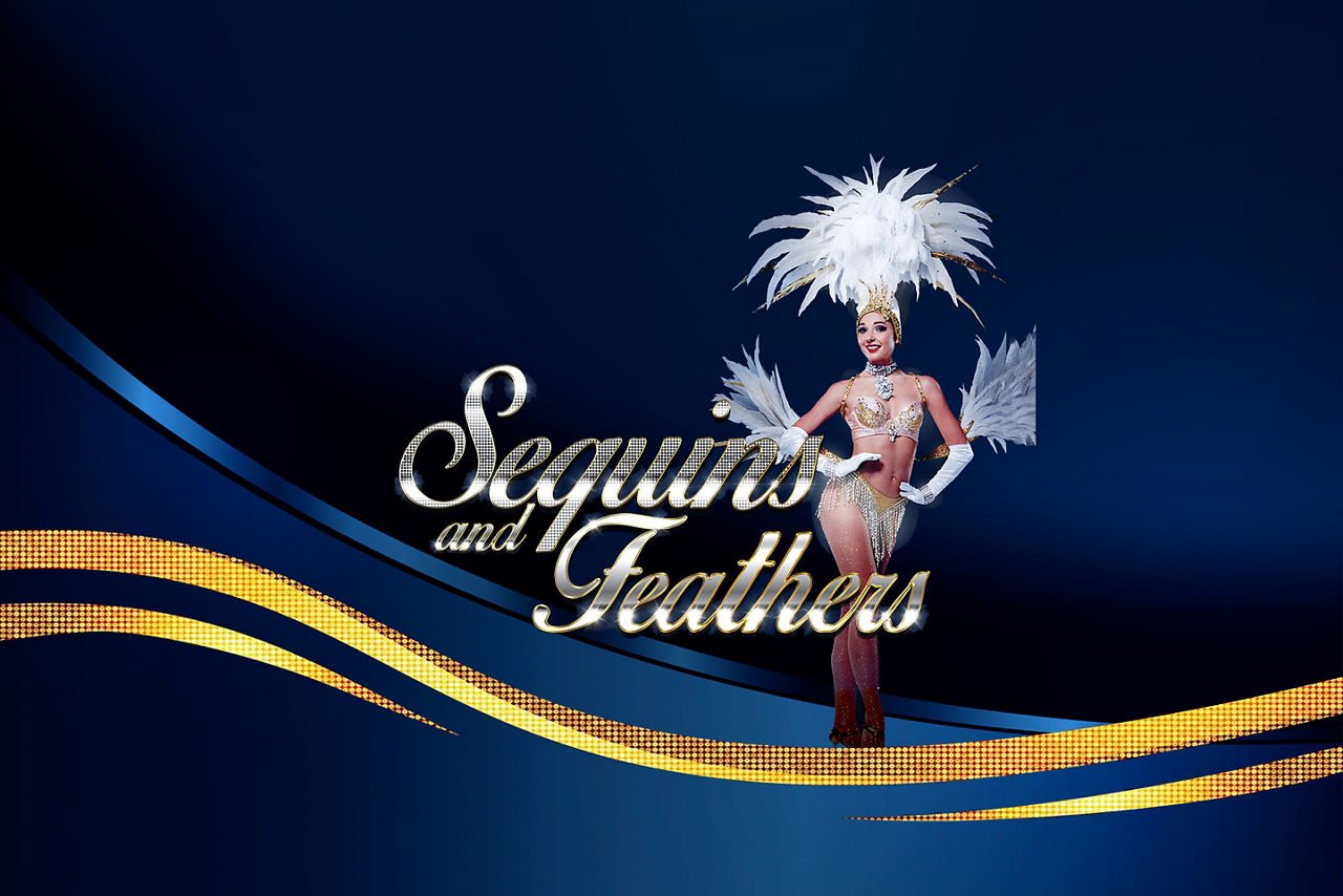 Sequins and feathers banner