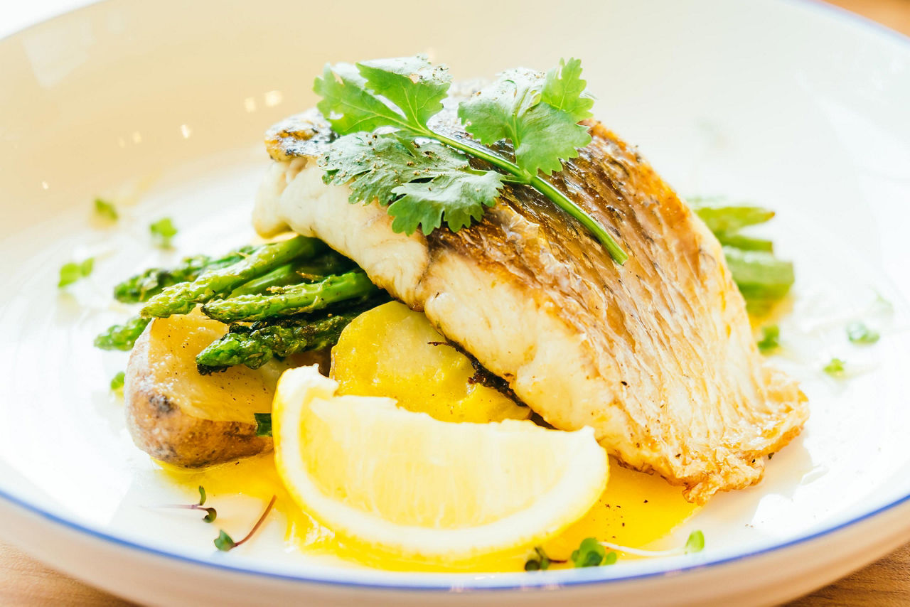 A filet of grilled barramundi on a white plate