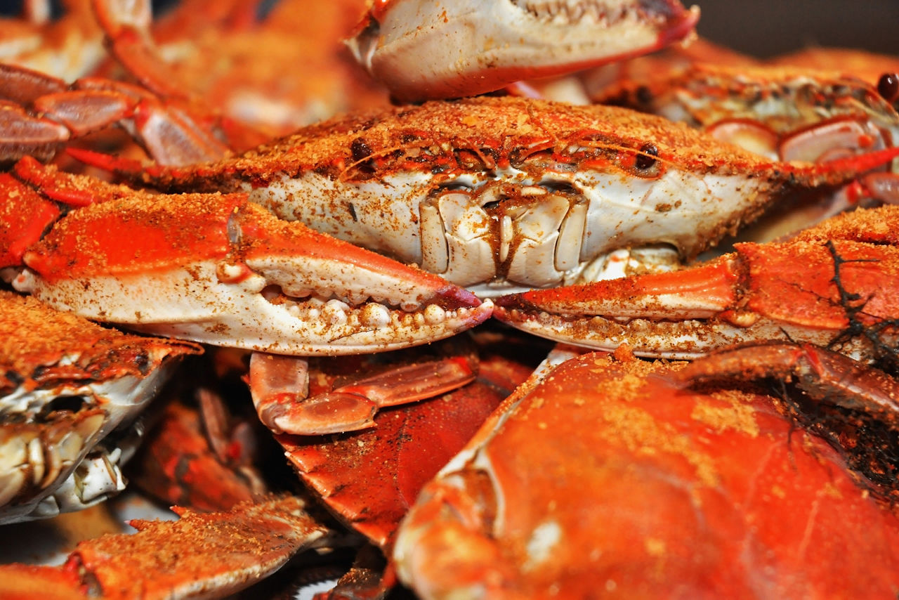 Blue Crab with Old Bay Seasoning, Maryland, Baltimore