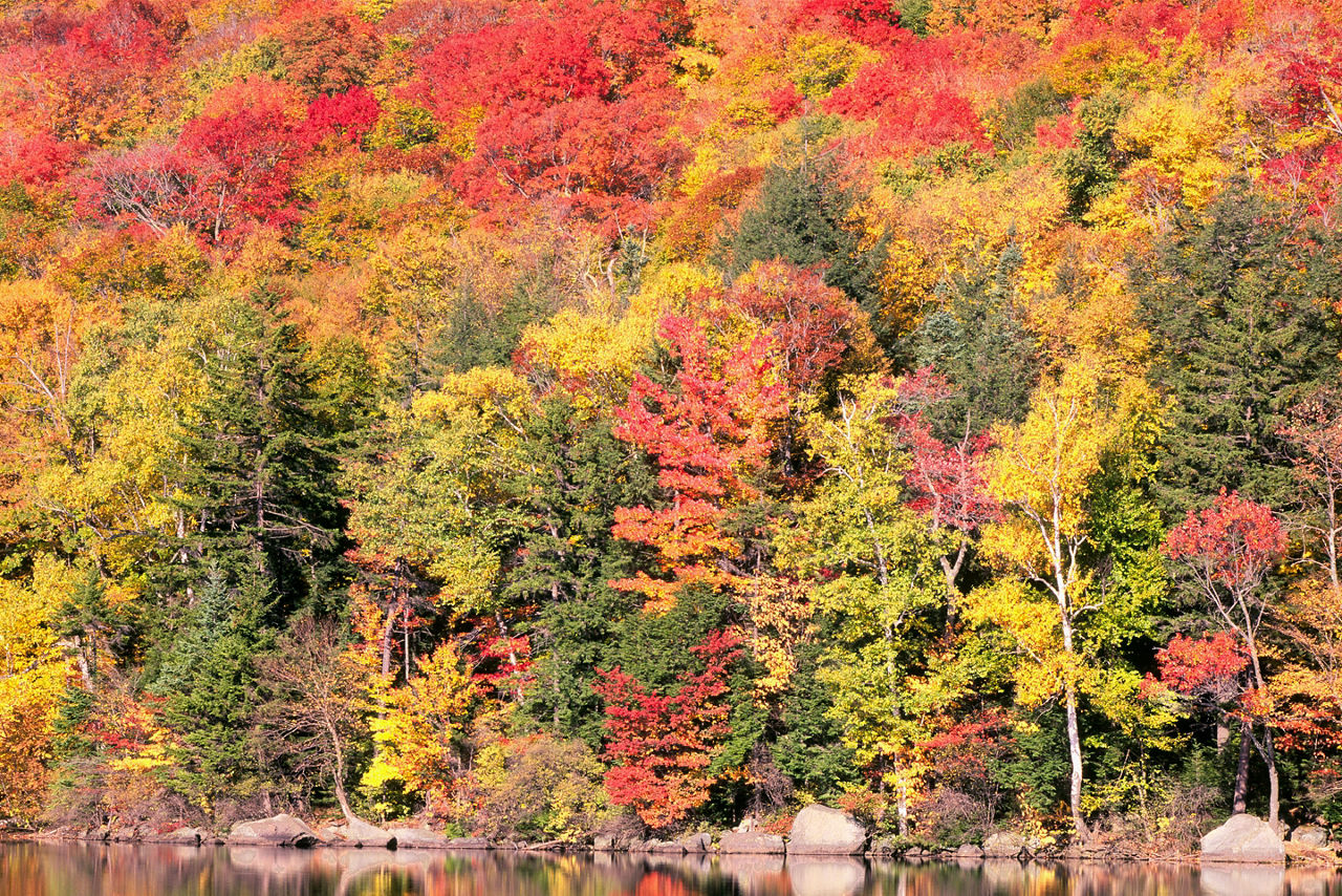 Bar Harbor Maine Fall 