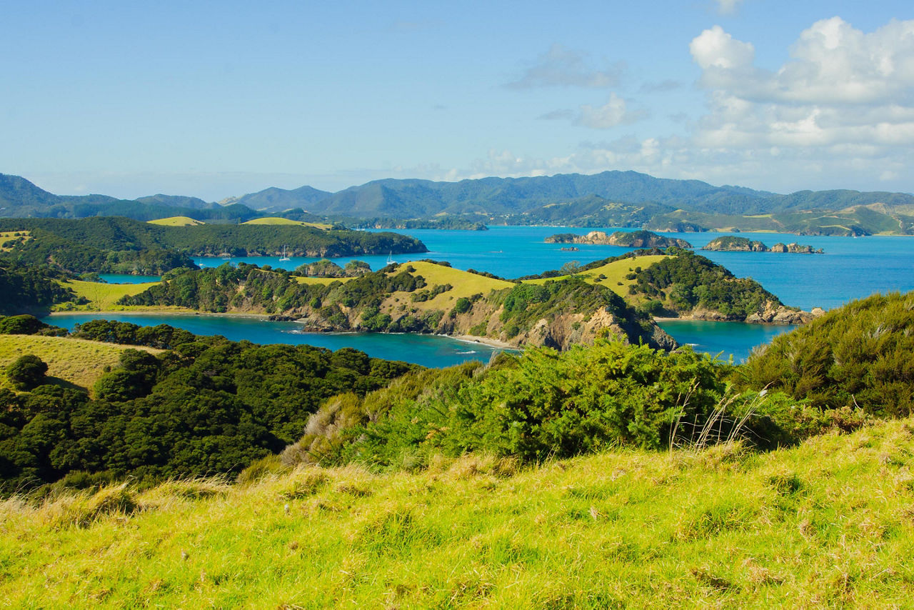 Bay of Islands, New Zealand Ocean Shore