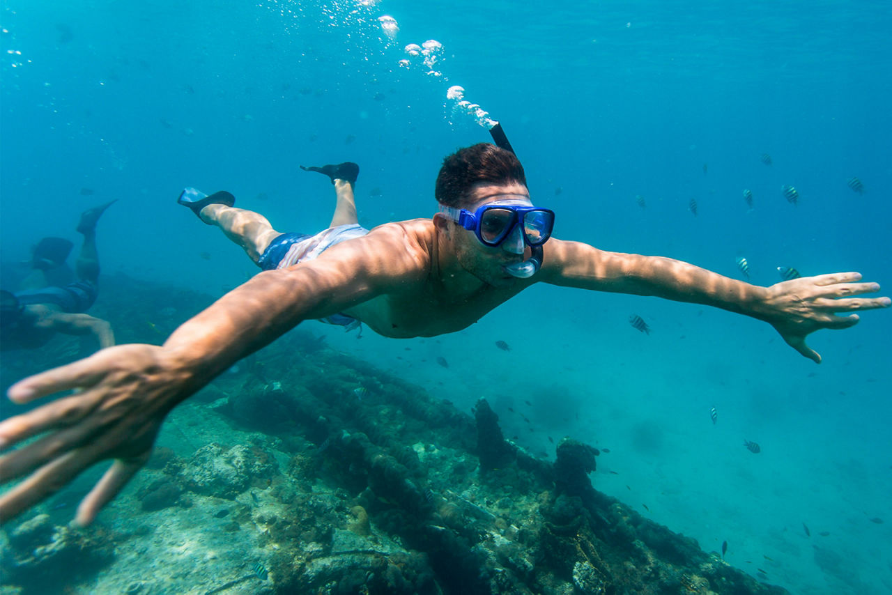 Couple Snorkeling Underwater Next to a Coral, Bridgetown, Barbados 
