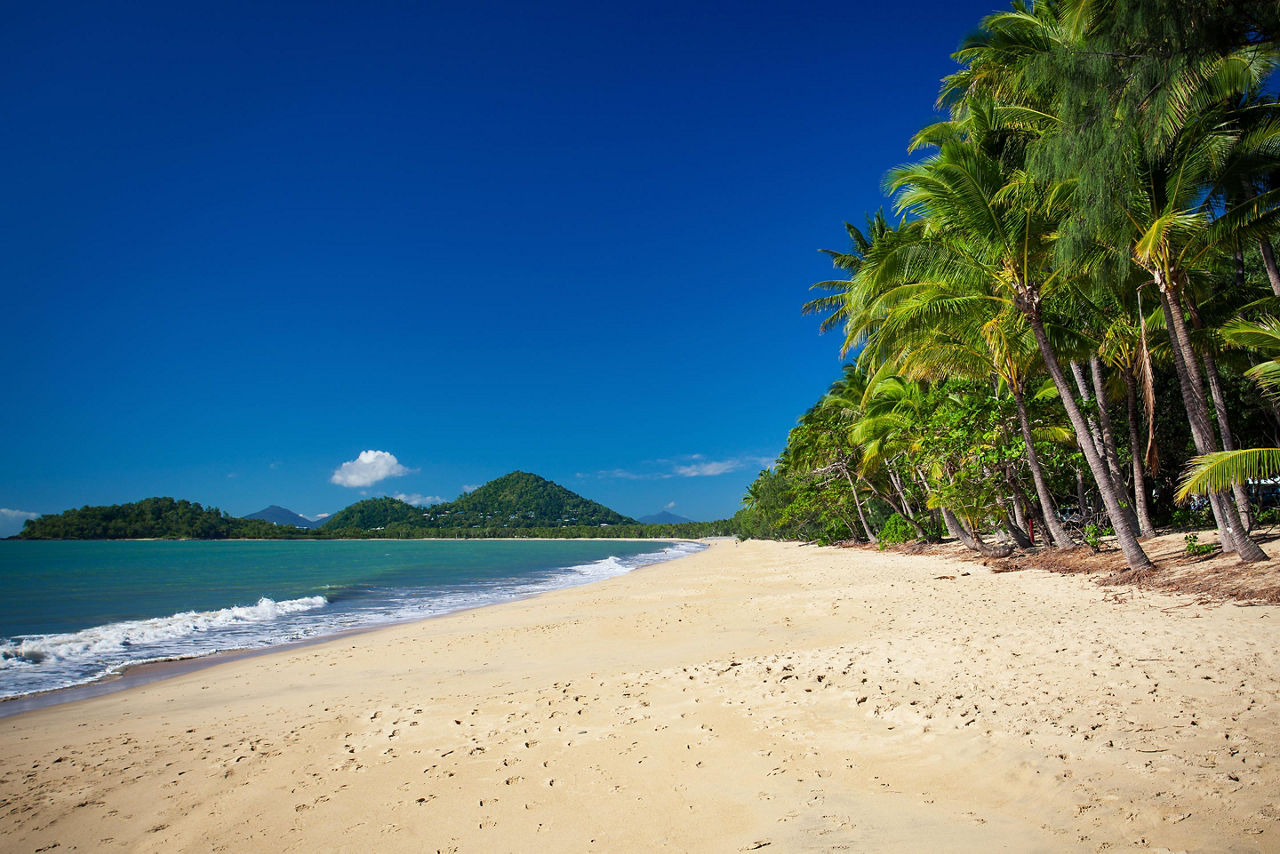 Palm trees lining Palm Cove beach in Australia