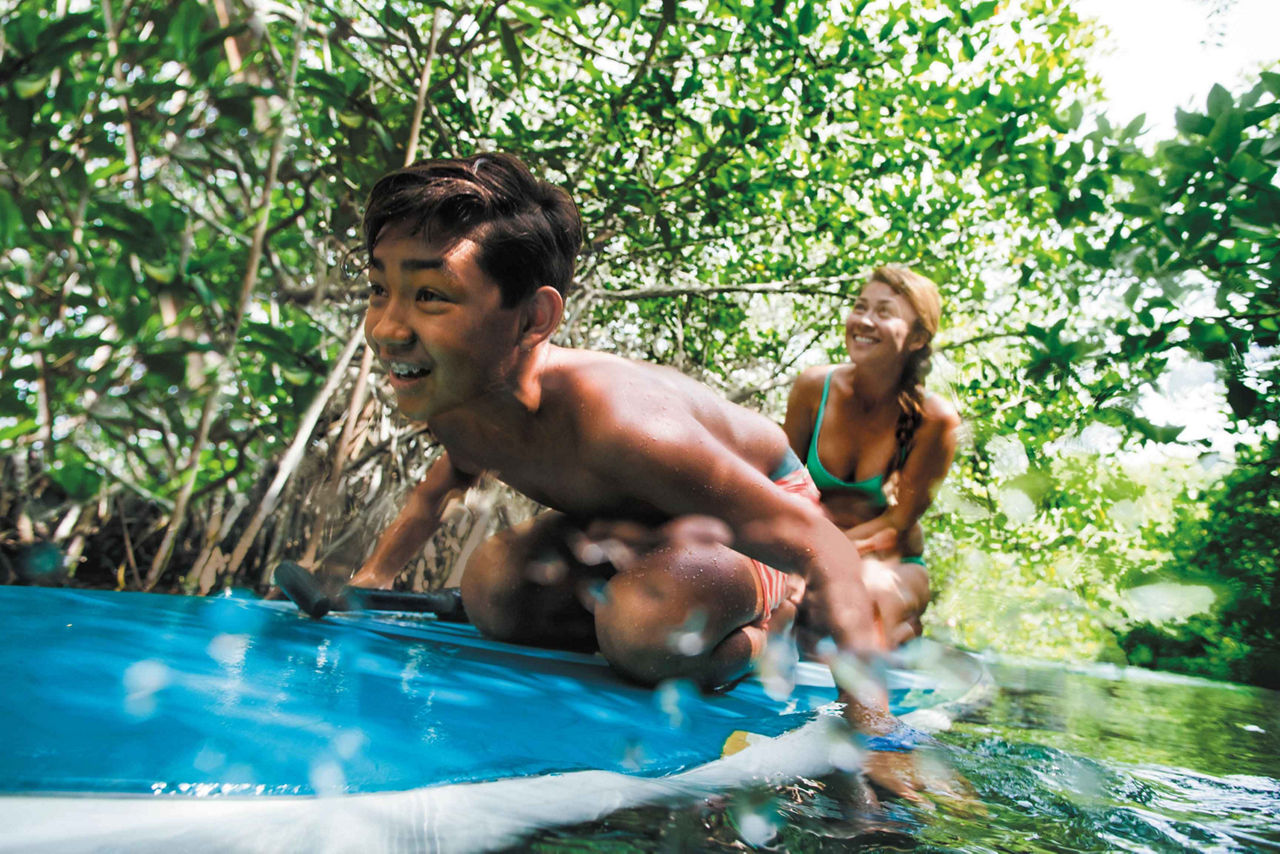 Boy and Girl on a Paddle-board Through the Mangroves in Cozumel, Mexico 