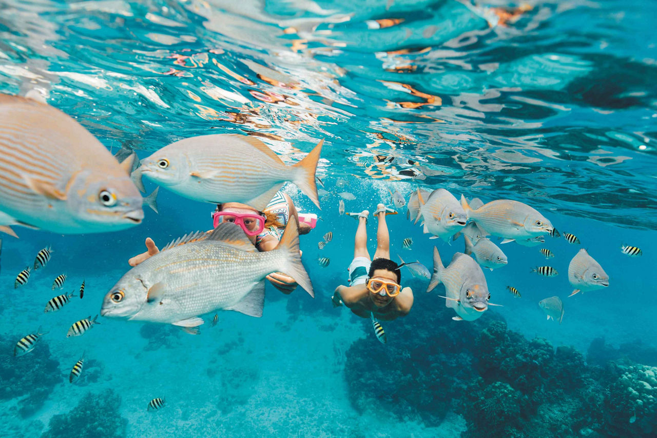 Kids Snorkeling Through a School of Fish, Cozumel, Mexico 