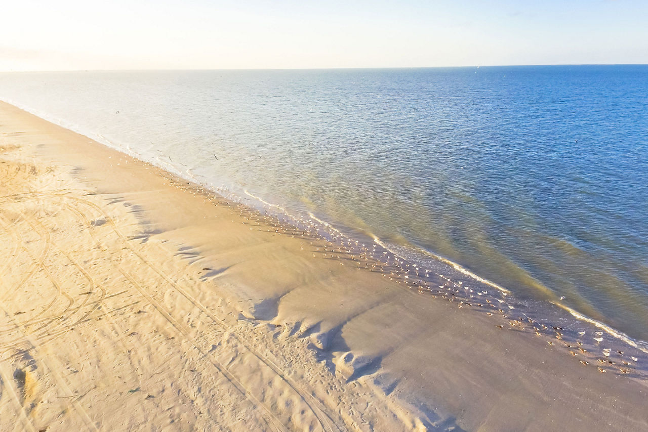 Gulf Beach, Galveston, Texas