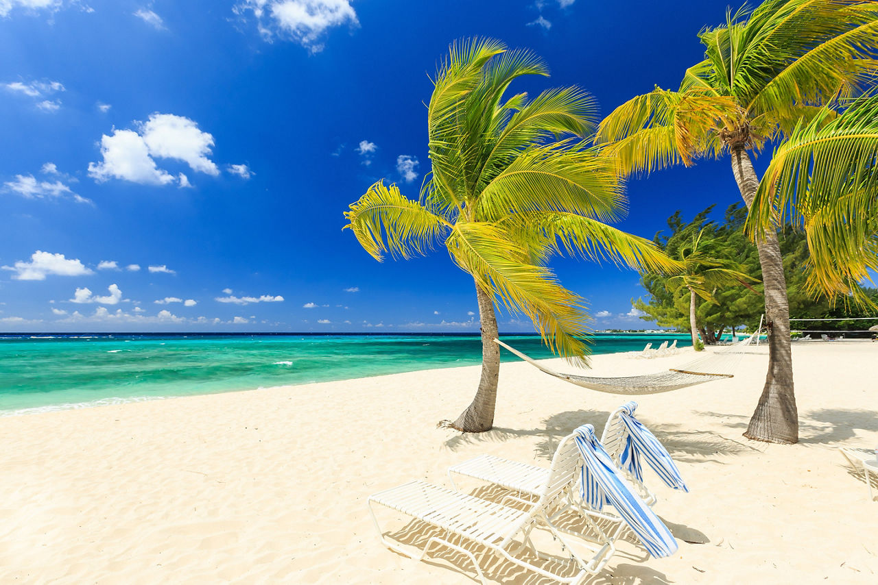 Seven Mile Beach Palm Trees, George Town, Grand Cayman