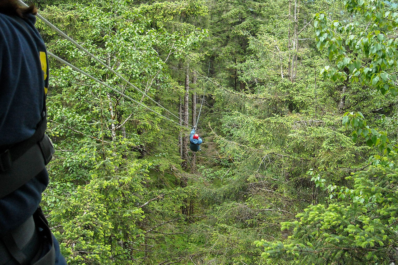 Zip Lining in the Summer, Icy Strait Point, Alaska