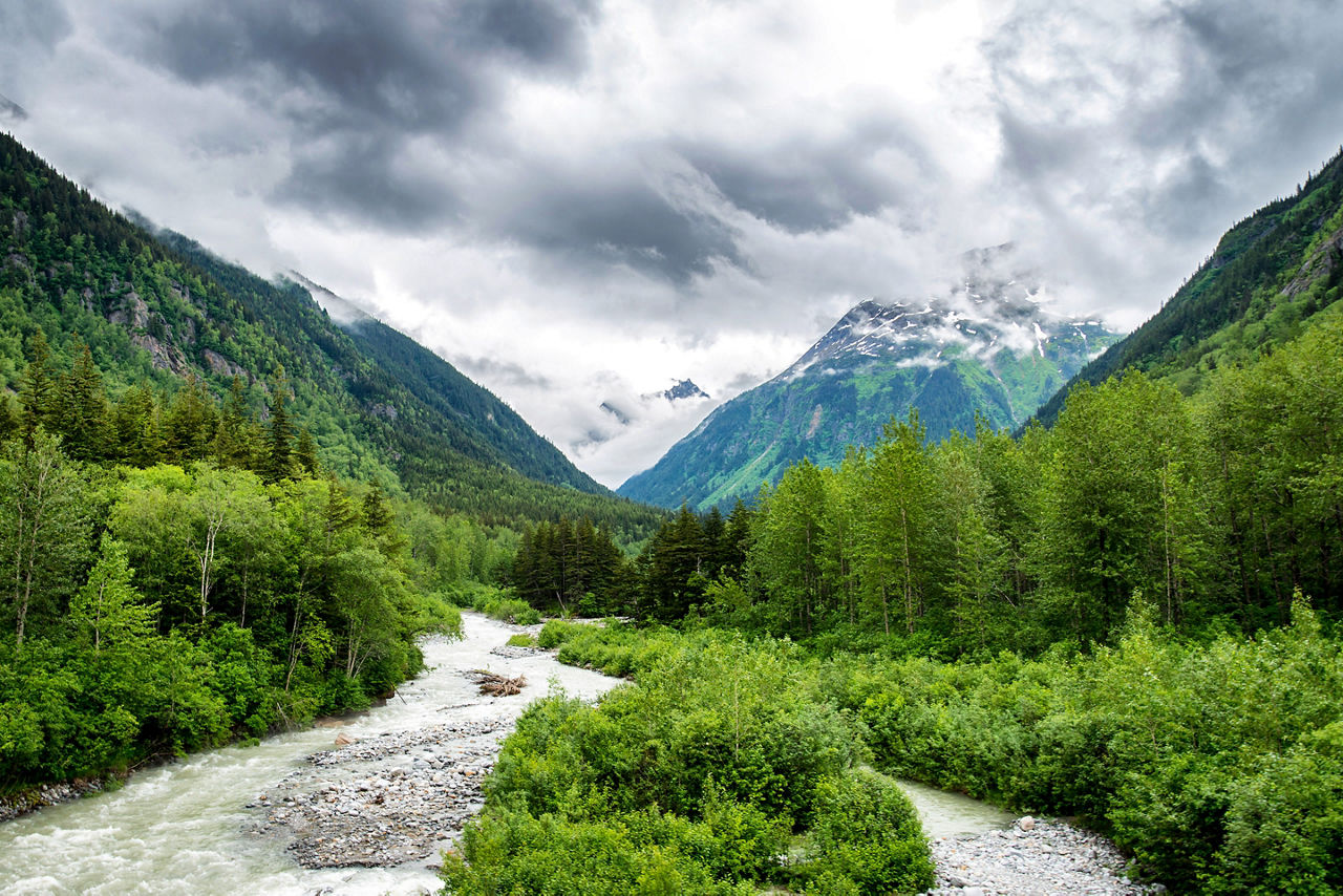 National Park Forest, Inside Passage, Alaska