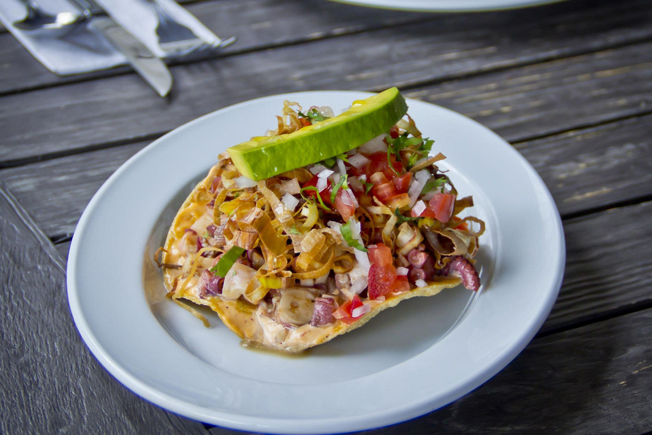 Manzanillo, Mexico Ceviche Tostada