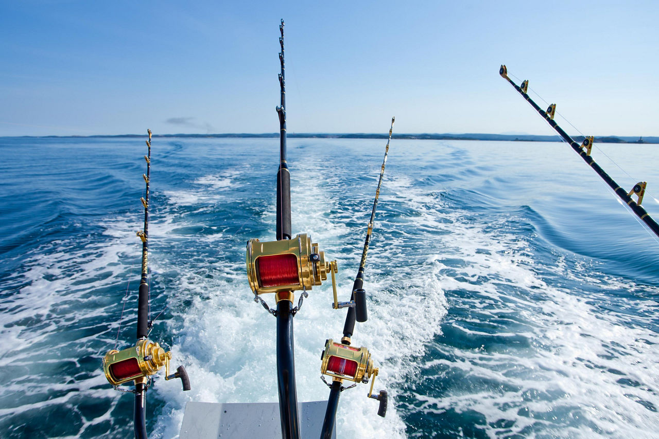 Fishing rods cast from a boat on the waters of Manzanillo, Mexico