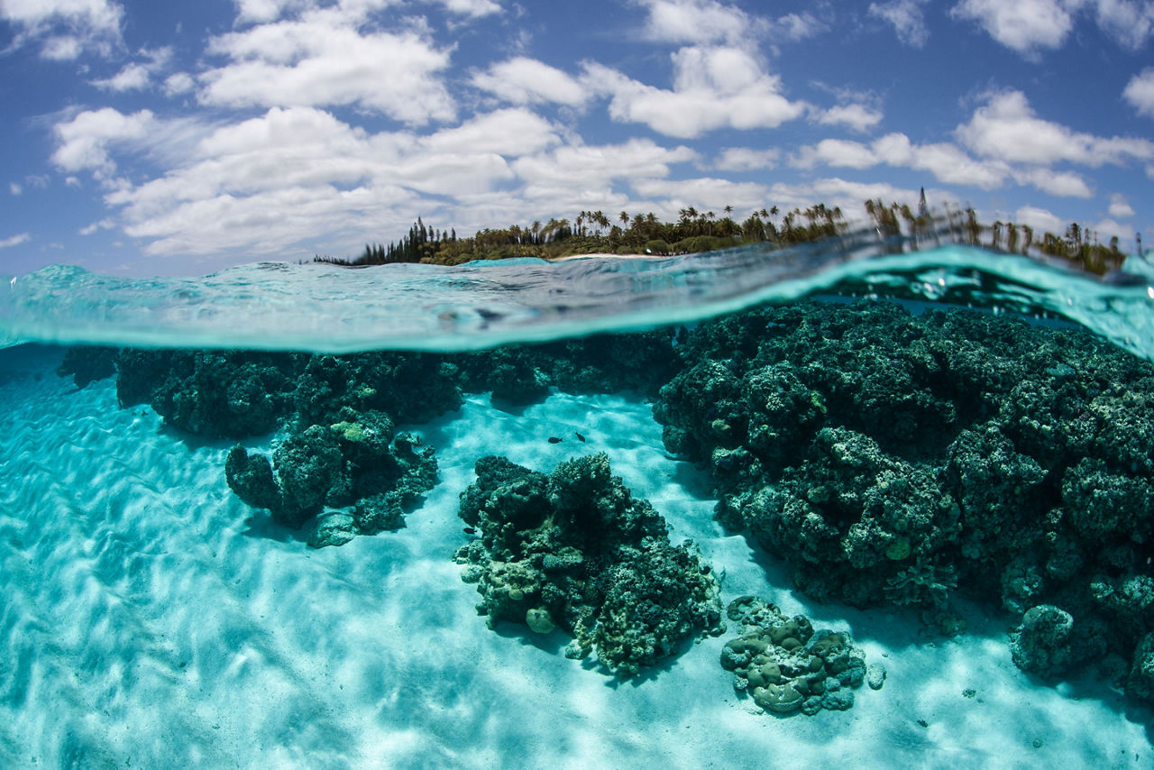 Mare, New Caledonia, Clear Blue Water