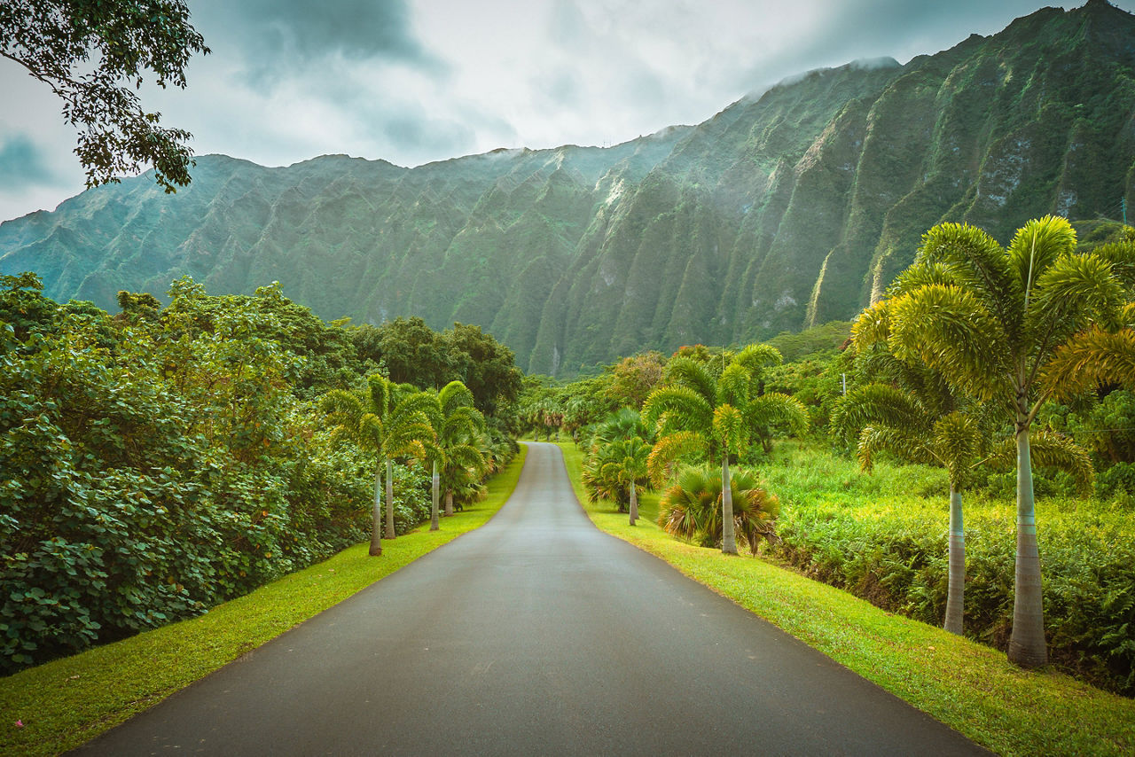 Ho'omaluhia Botanical Park