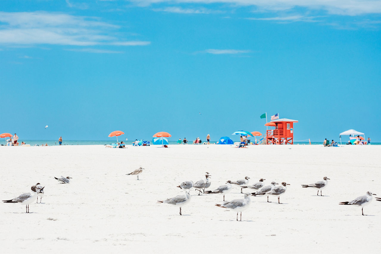Siesta Key Beach in Sarasota. Florida.