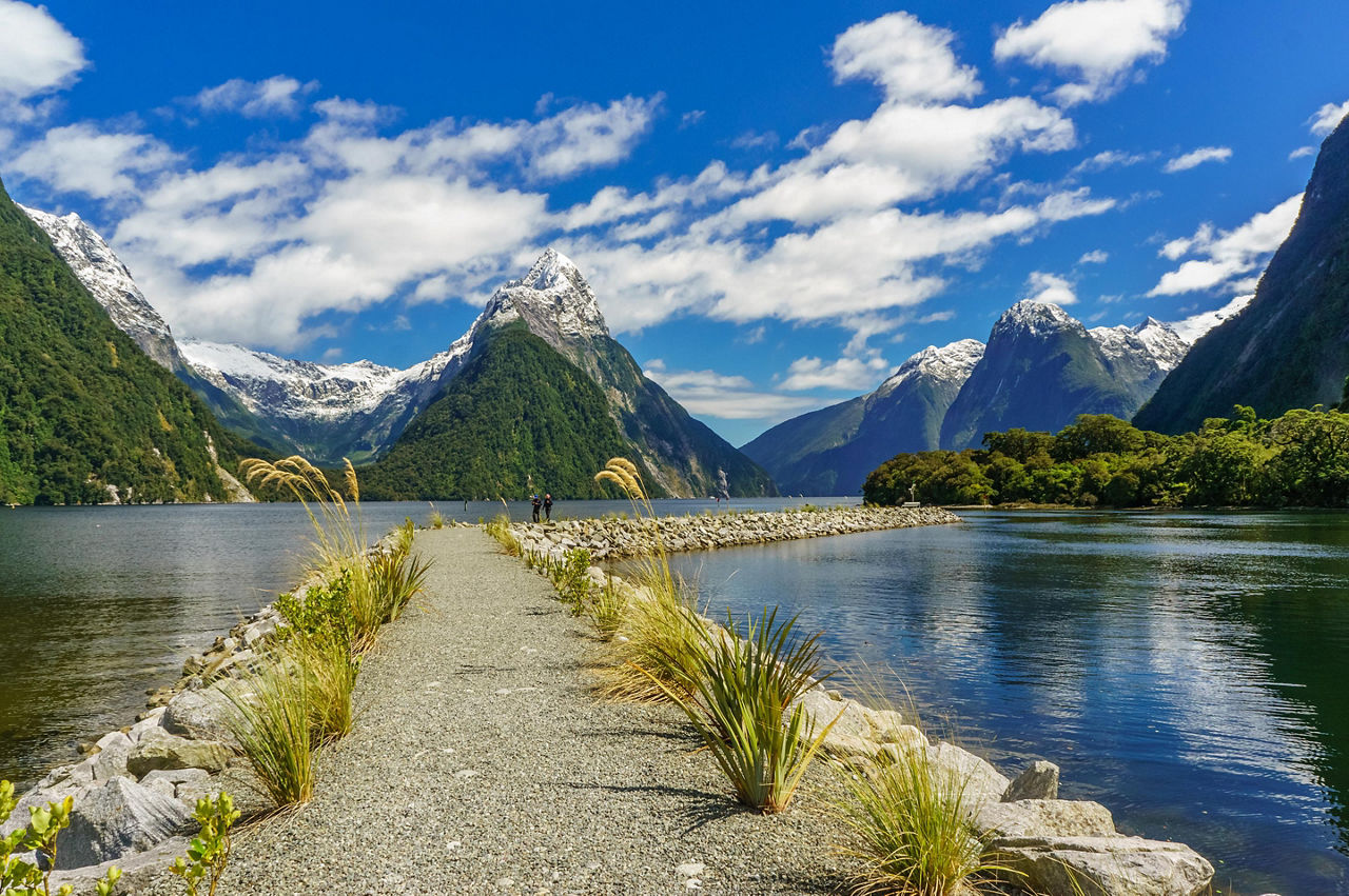 Milford Sound, New Zealand Pathway Nature