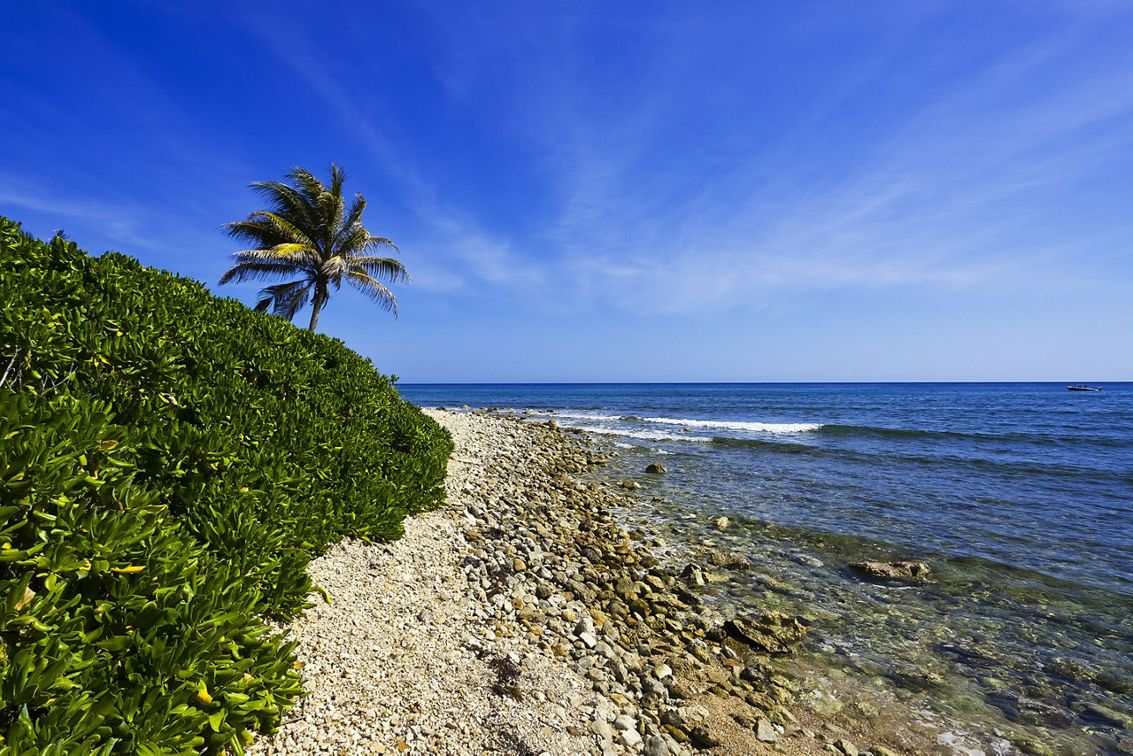 Beach Scenery with Lush Landscape, Montego Bay, Jamaica