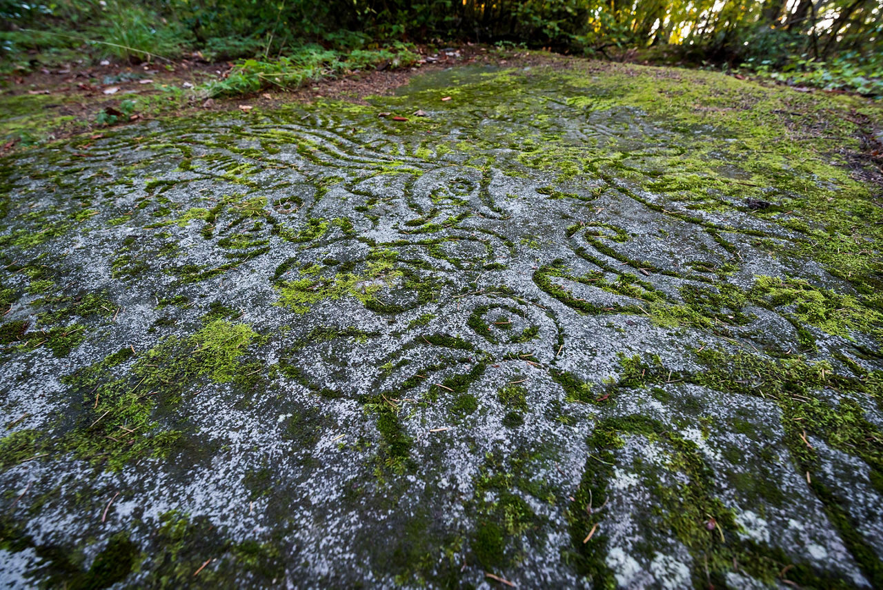 Ancient rock carvings