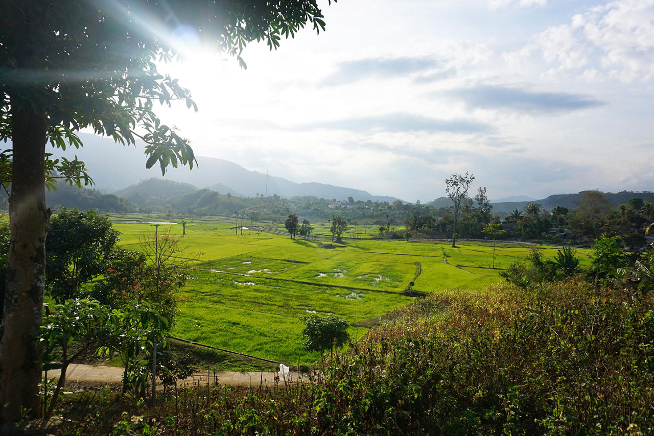 Rice fields and mountains in Cam Ranh, Vietnam