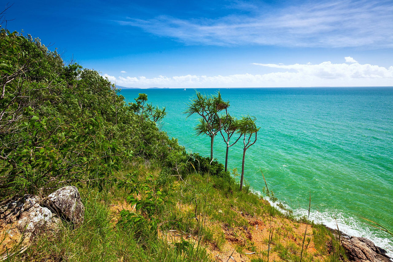 Beach and tropical vegetation in Port Douglas, Australia