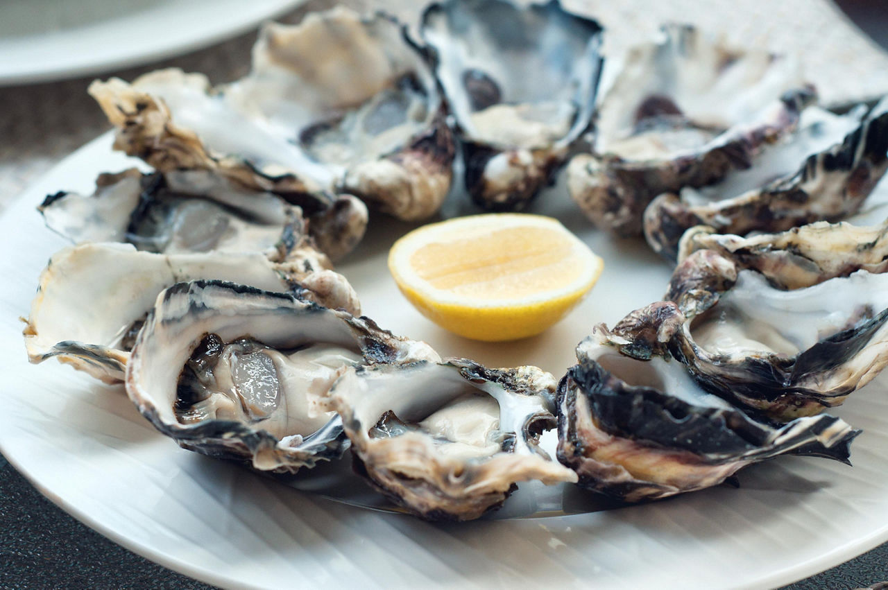 Opened oysters on a white plate