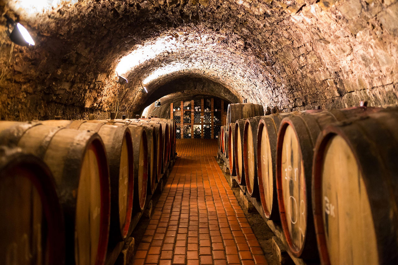 Old aged traditional wooden wine barrels in a vault, lined up in a cool and dark cellar in Porto, Portugal