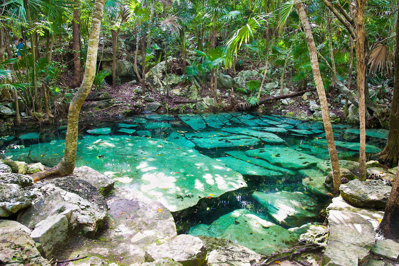 Cenote Azul Limestone Pit, Costa Maya, Mexico