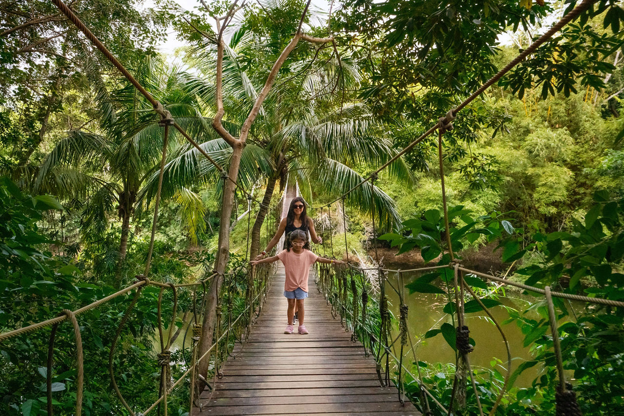 honduras roatan suspended bridge mother daughter jungle shore excursion