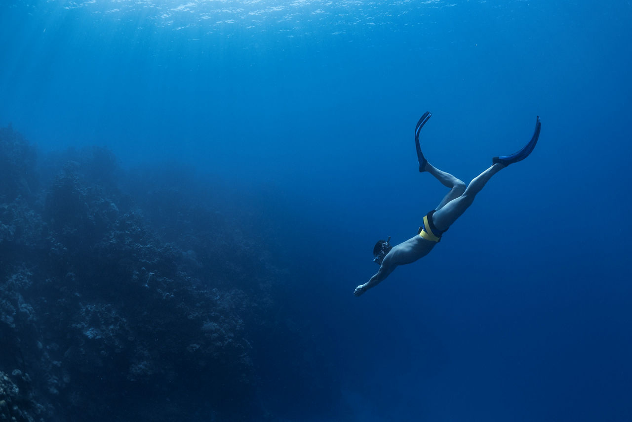 West Bay Free Diving, Roatan, Honduras